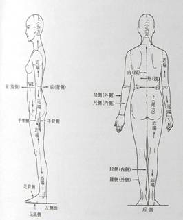 人体工程学基础-3、人体测量与人体尺寸