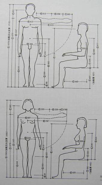 人体工程学基础-3、人体测量与人体尺寸