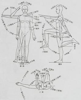 人体工程学基础-3、人体测量与人体尺寸