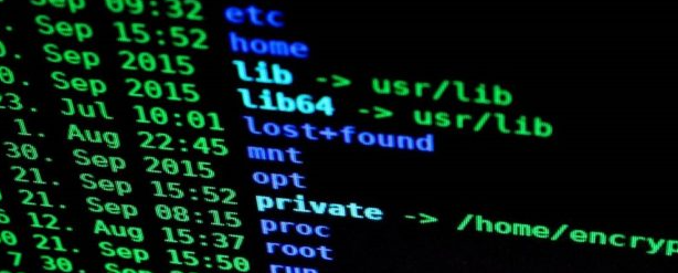 研究人员通过智能攻击入侵了苹果，特斯拉等